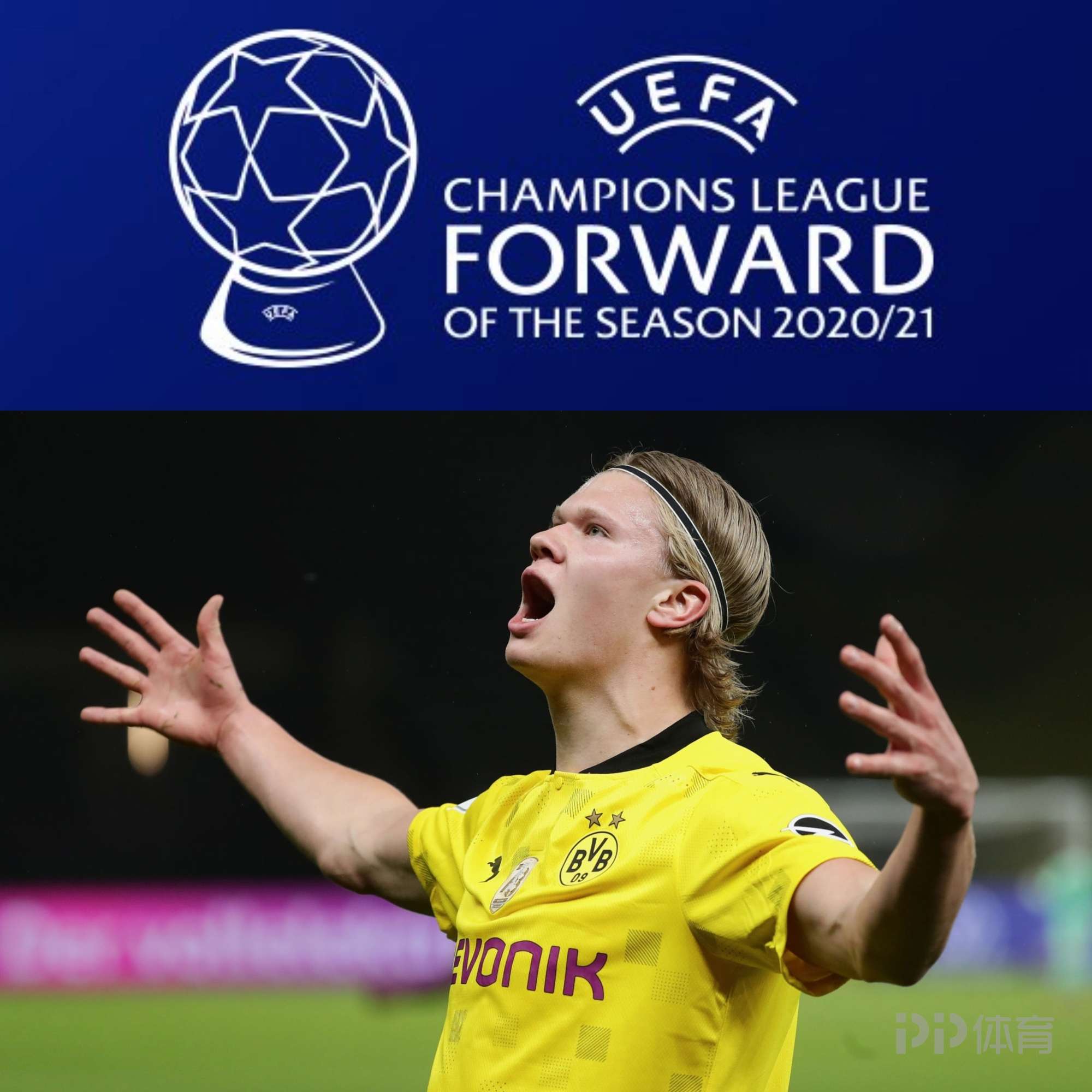 综合体育评论观点汇总 专家解读与理性分析